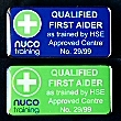 First Aider lapel badge (blue) BADGEB